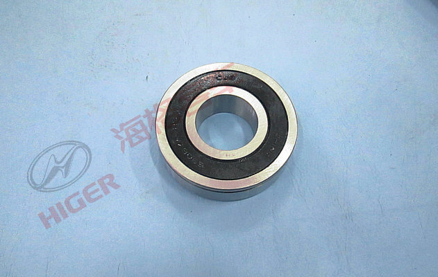 Input shaft bearing