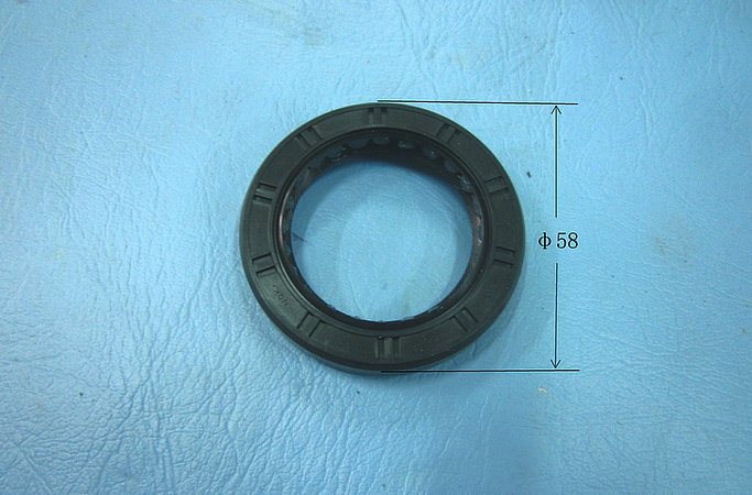 Задняя масляная пломба