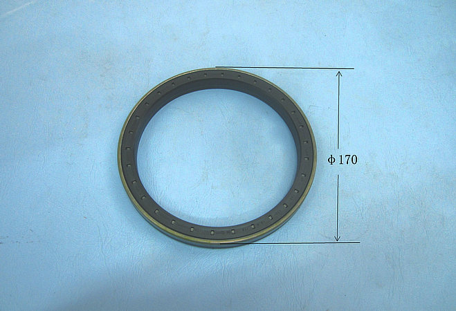 Oil seal