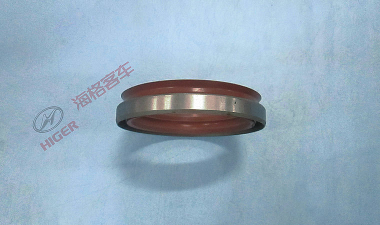 Assemblage d'étanchéité à l'huile du bouchon arrière