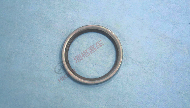 Oil seal in the output shaft