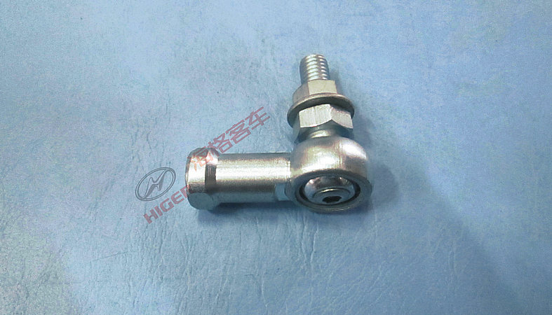 Ball Festival Assembly