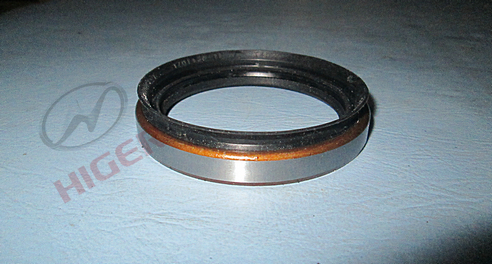 Oil seal assembly-rear bearing cover