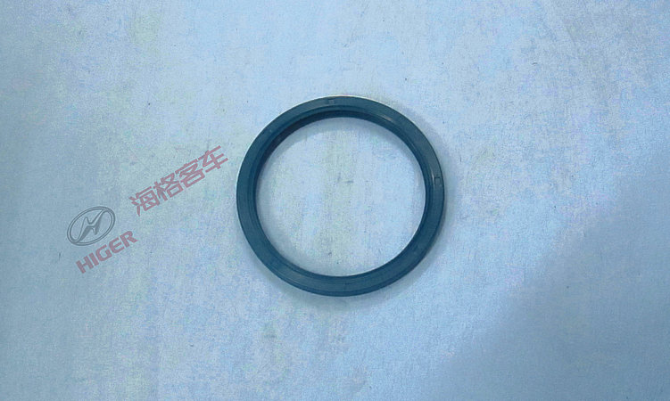 Joint d'huile de squelette