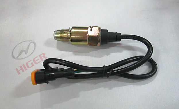 Electronic odometer sensor