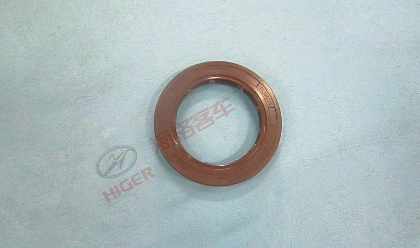 Front bearing cap oil seal