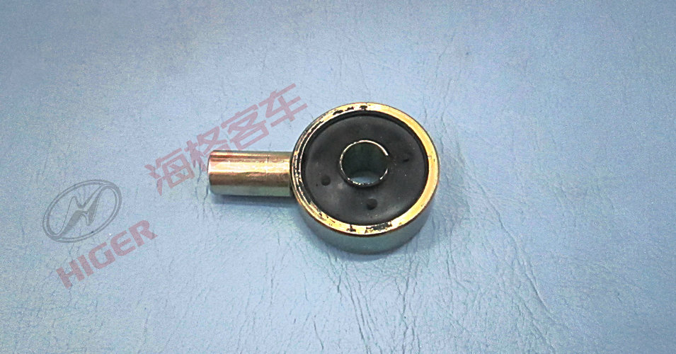 Assemblée du Festival de Ball