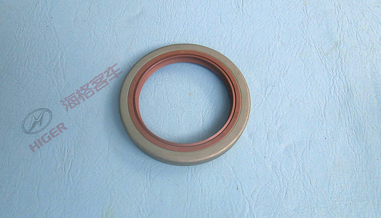 One-axis oil seal