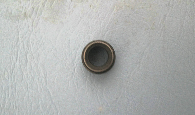 Odometer driven gear oil seal
