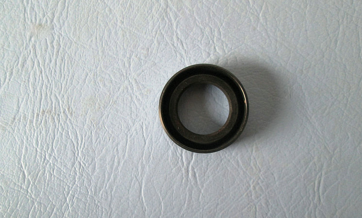 Selection shaft oil seal