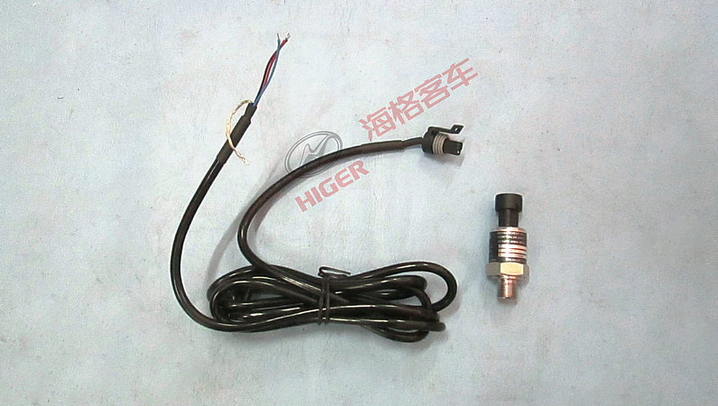 Sensor (pressure detection system)