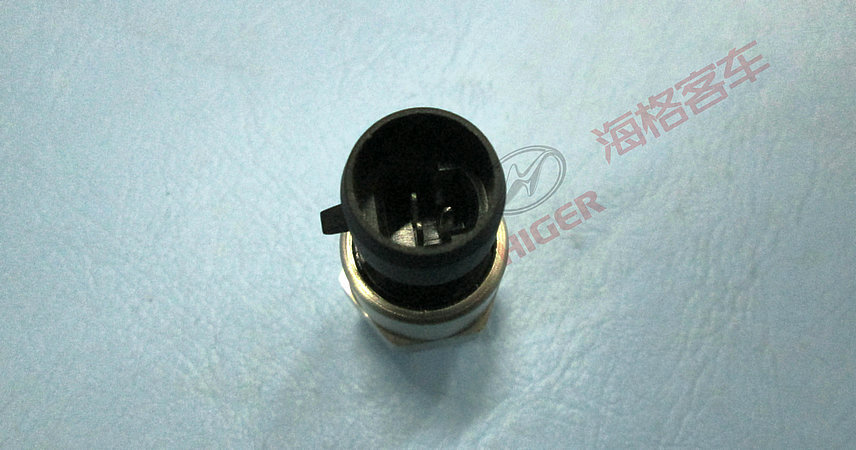 Capteur pneumatique-1