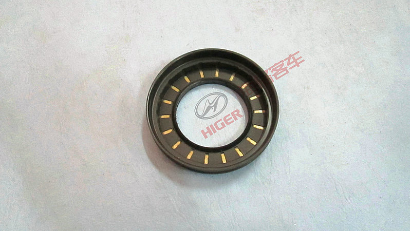 Rear wheel dustproof oil seal