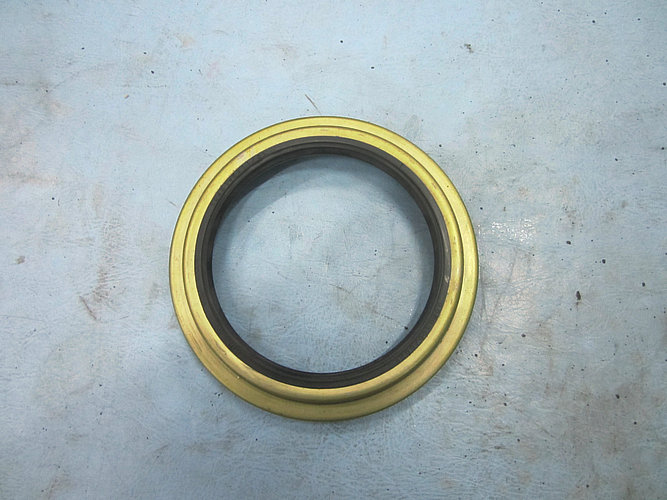 Rear hub oil seal assembly