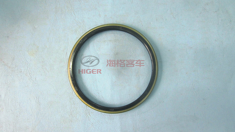 Rear hub oil seal assembly