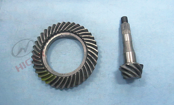 Joint dentier maître-esclave