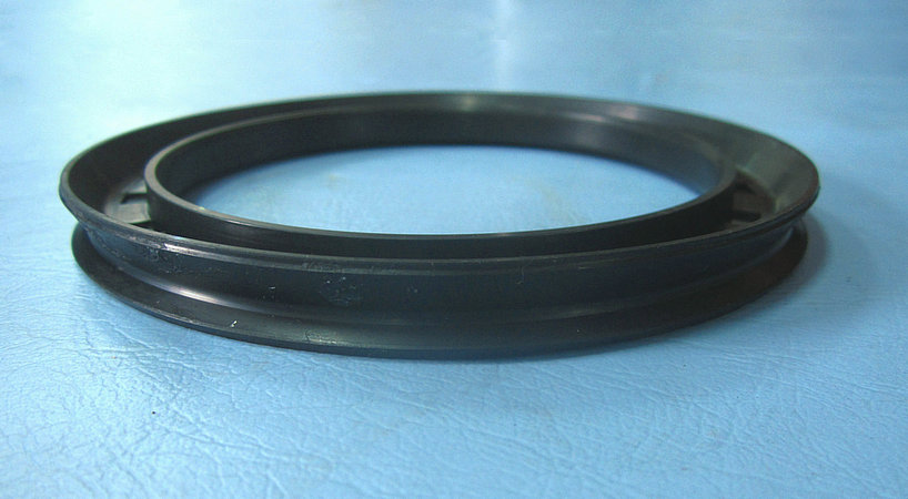 Rear hub oil seal