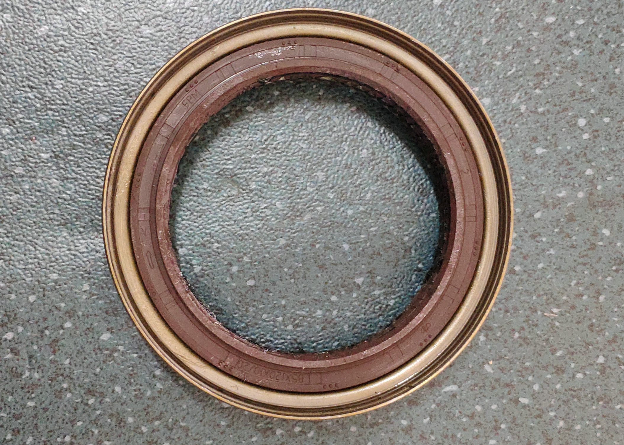 Oil seal