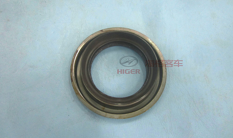 Oil seal assembly—active bevel gear