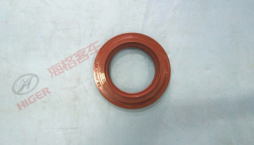 engrenage à biseau actif pour l'assemblage des joints d'huile-1