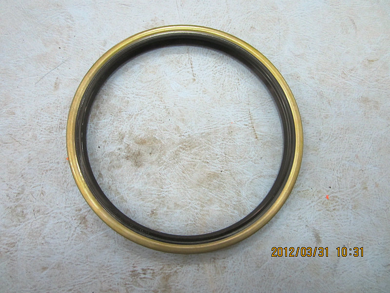 Rear hub oil seal