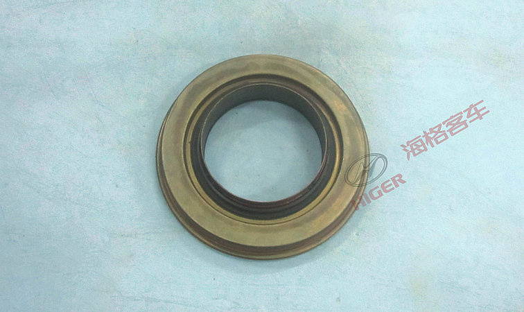 Main oil seal