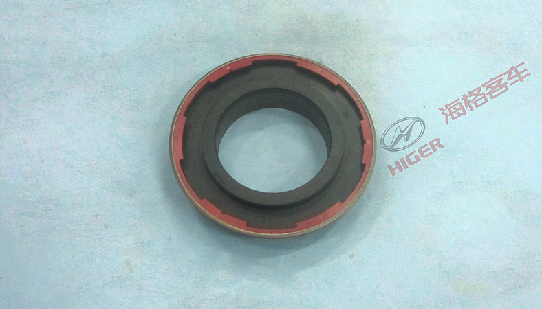 Joint principal d'huile-1