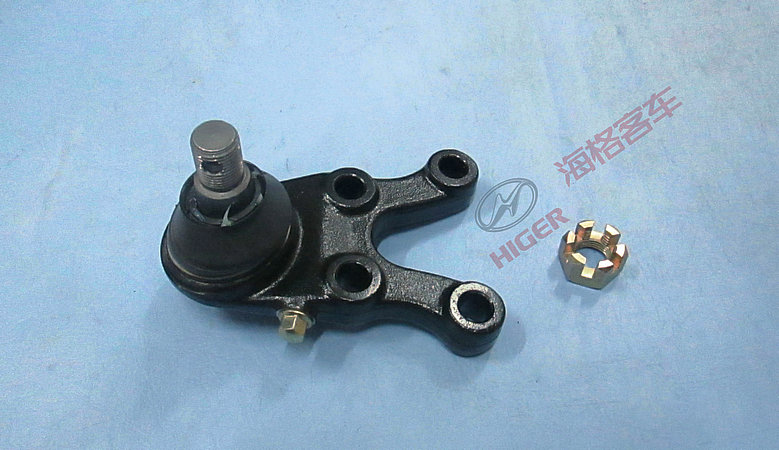 Собрание мякоти (слева)