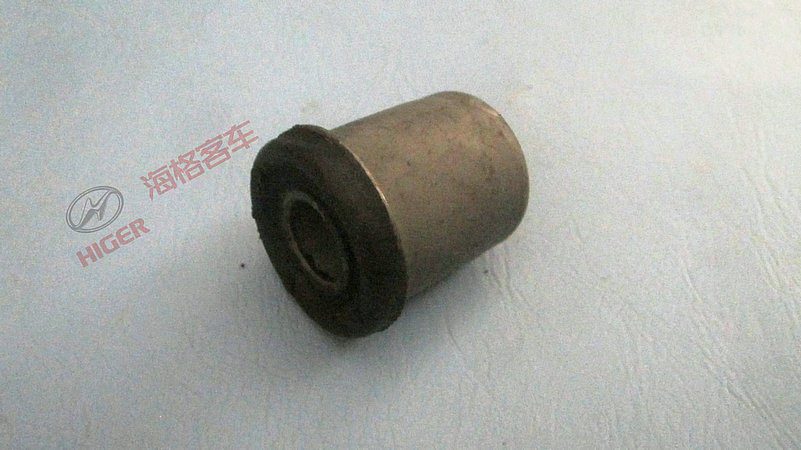 Front steel leaf spring bushing