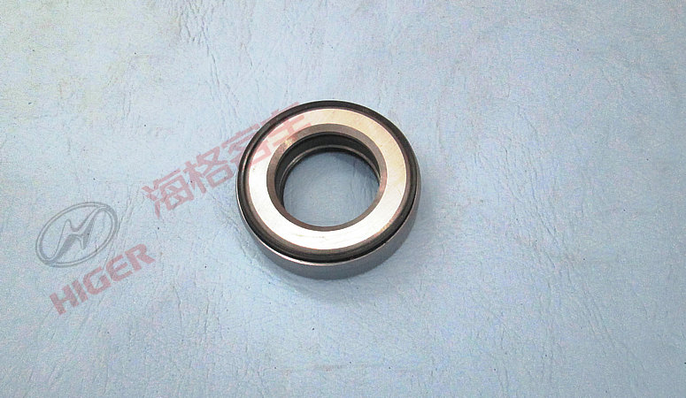 Thrust bearing assembly