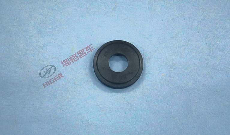 Oil seal assembly