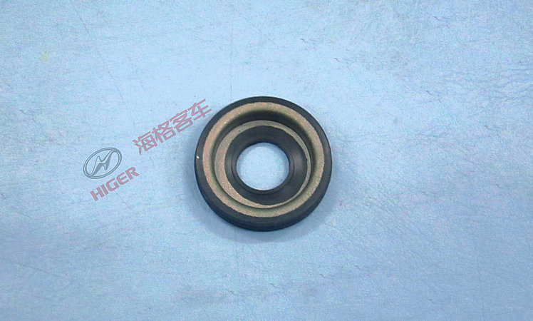 Комплект масляной пломбы-1