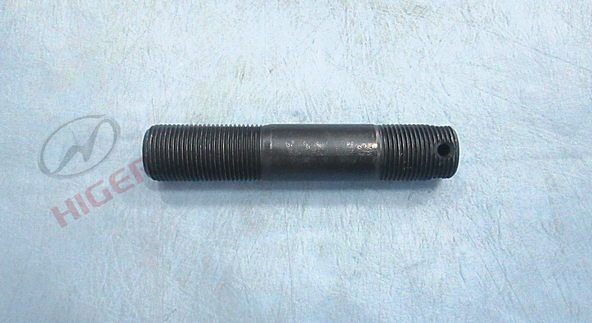 Double goujon de tête