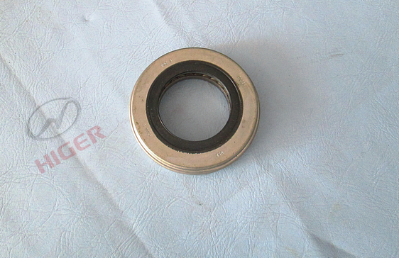 Integrated thrust bearing and oil seal