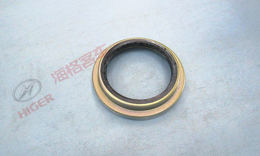 Oil seal in rear wheel hub