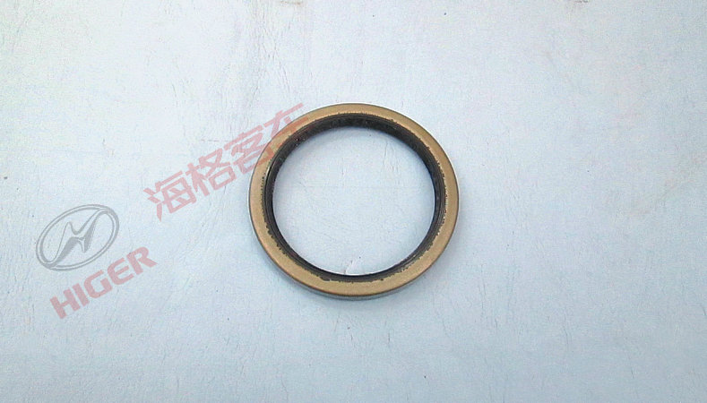 Front hub oil seal