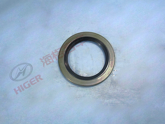 Oil seal
