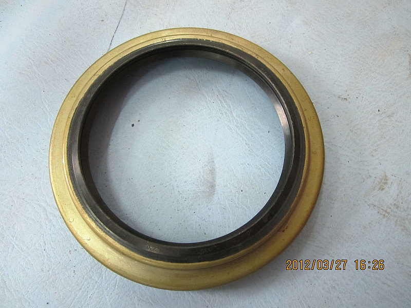 Rear hub oil seal assembly