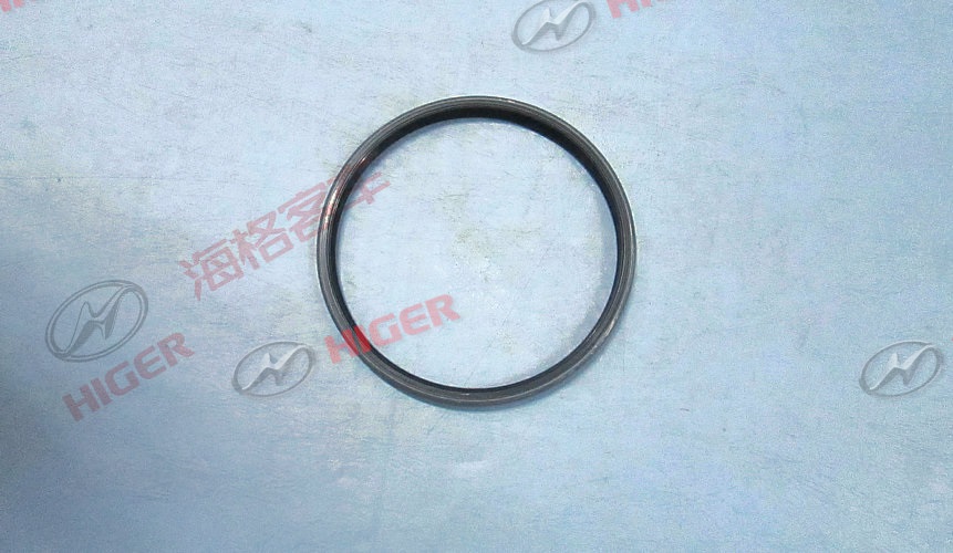 Rear hub oil seal