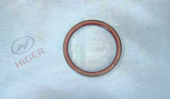 Wheel oil seal