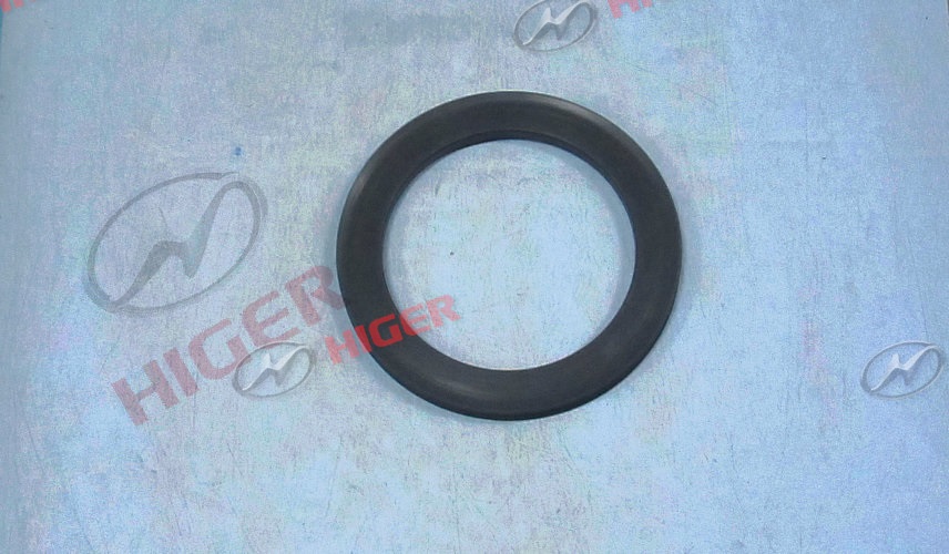 Rear hub oil seal assembly-1
