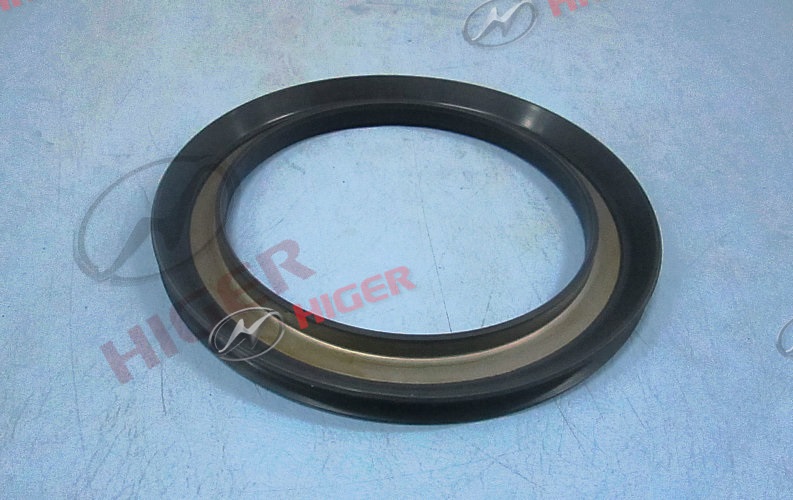 Rear hub oil seal assembly