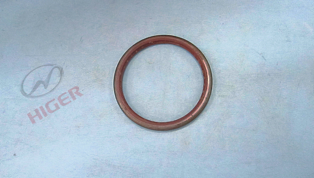 Wheel oil seal