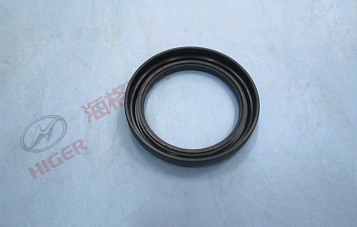 Oil seal-1