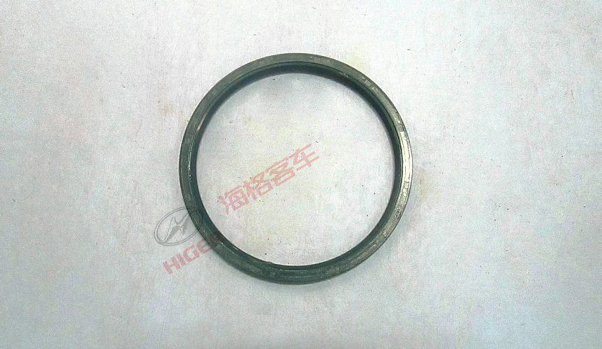 Left rear wheel hub oil seal assembly
