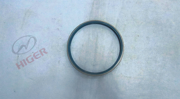 Rear axle revolver hub oil seal