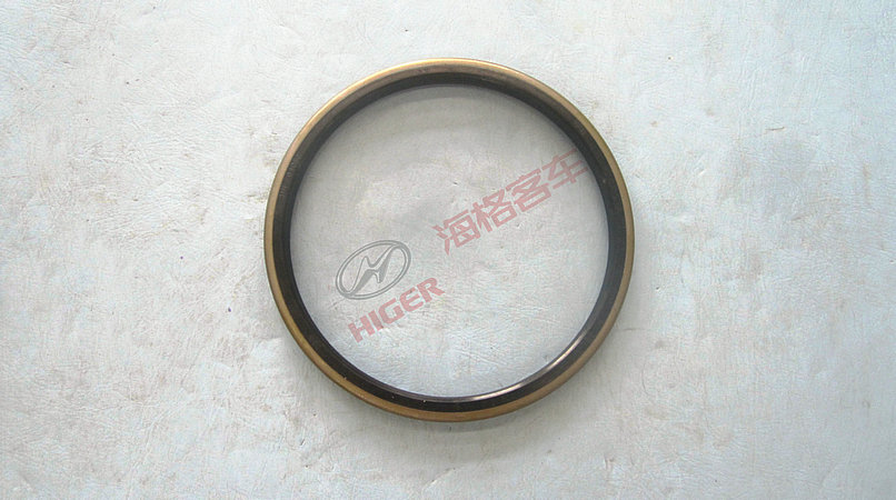 Rear hub oil seal assembly