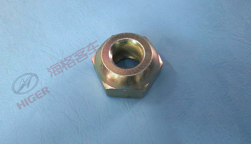 Left wheel nut and washer assembly