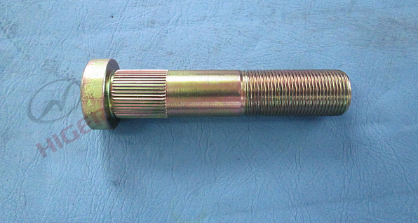 rear tire bolt-1