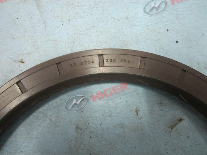 Hub oil seal assembly-1